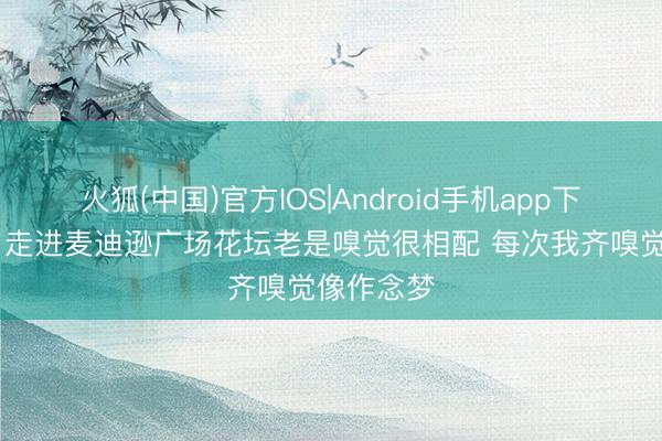 火狐(中国)官方IOS|Android手机app下载 面包：走进麦迪逊广场花坛老是嗅觉很相配 每次我齐嗅觉像作念梦