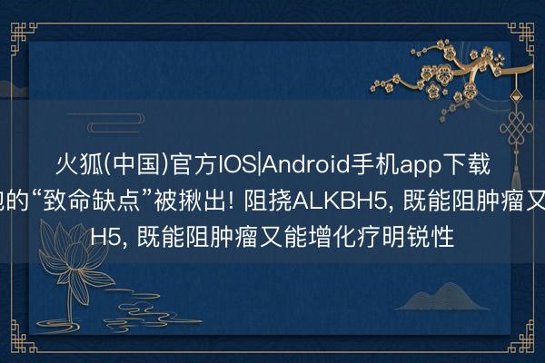 火狐(中国)官方IOS|Android手机app下载 结直肠癌干细胞的“致命缺点”被揪出! 阻挠ALKBH5， 既能阻肿瘤又能增化疗明锐性