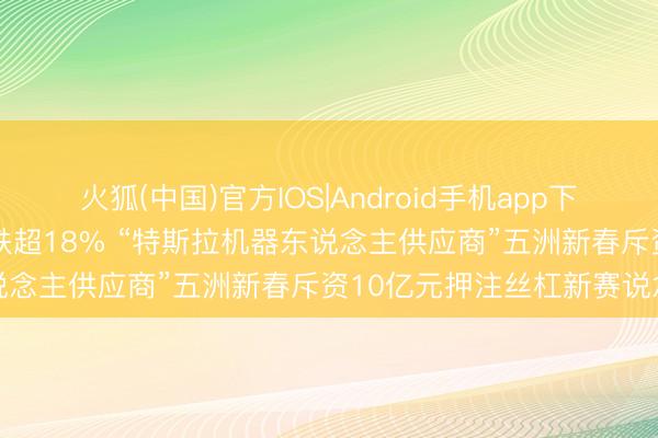 火狐(中国)官方IOS|Android手机app下载 一季度营收、净利均下跌超18% “特斯拉机器东说念主供应商”五洲新春斥资10亿元押注丝杠新赛说念