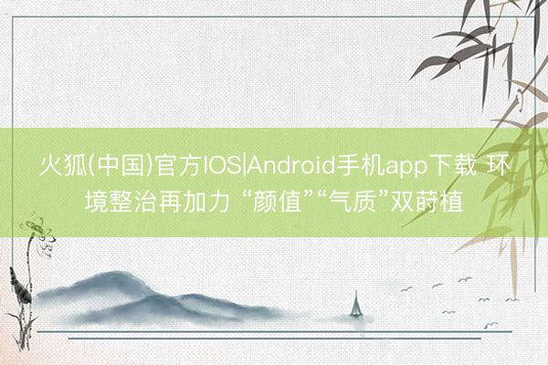 火狐(中国)官方IOS|Android手机app下载 环境整治再加力 “颜值”“气质”双莳植
