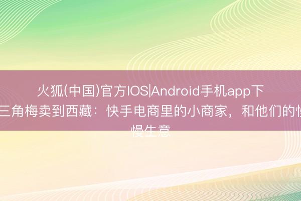 火狐(中国)官方IOS|Android手机app下载 把三角梅卖到西藏：快手电商里的小商家，和他们的慢生意