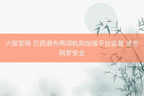 火狐官网 巴西颁布两项轨则加强平台监督 进步网罗安全